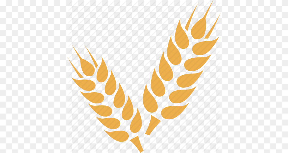 Crop Grain Wheat Wheat Crop Wheat Gran, Food, Produce, Electronics, Hardware Png