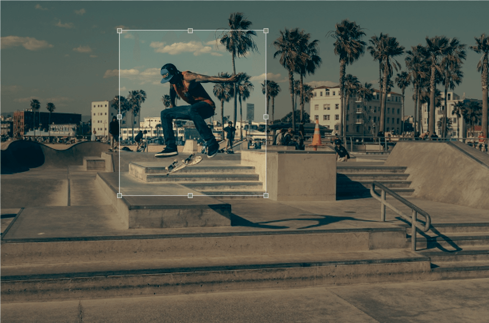 Crop Skatepark Backgrounds, Tree, Handrail, Plant, Palm Tree Free Png Download