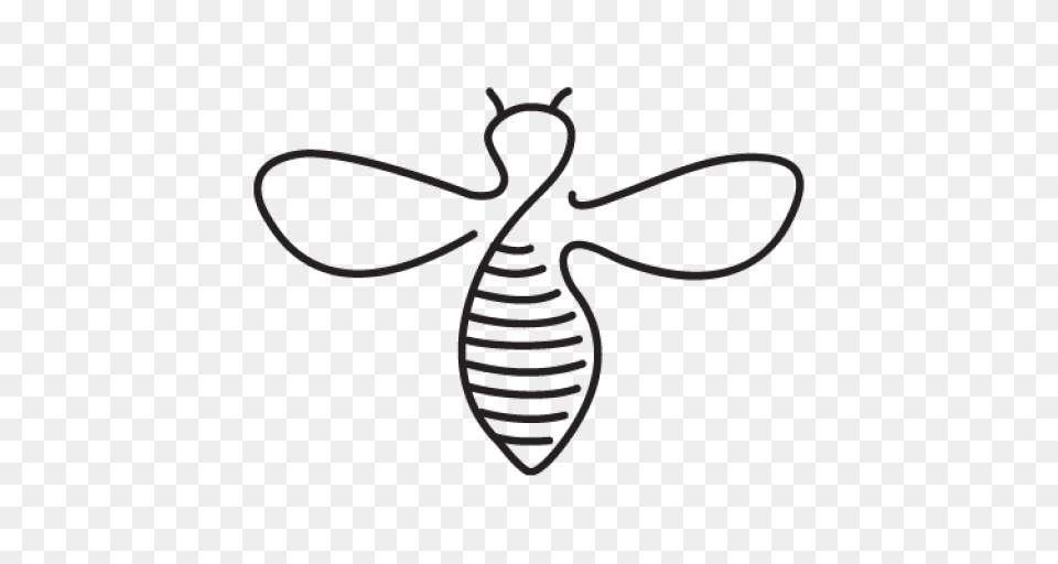 Cropped Bee Outline Centered, Animal, Insect, Invertebrate, Wasp Png