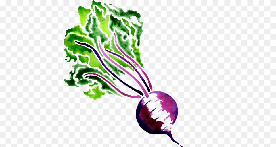 Cropped Beet Cloud Caterers, Food, Produce, Plant, Turnip Png Image
