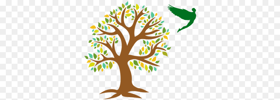 Cropped Bigtreeonlyfaviconpng U2013 Lihigh School Tree Of Philosophy By Branches, Pattern, Art, Plant, Leaf Free Png