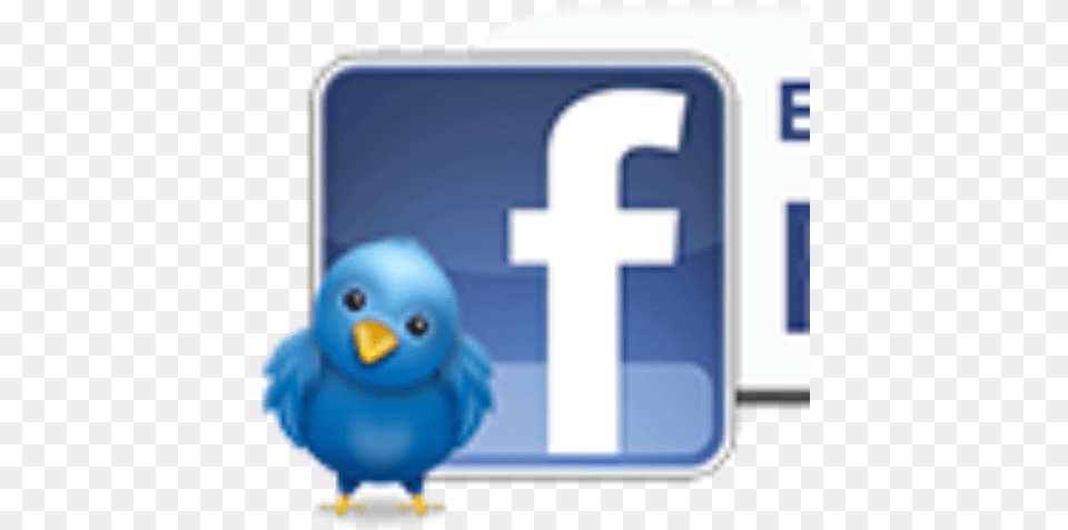 Cropped Birdparadisefacebookbuttonpng Exotic Bird Become A Fan On Facebook, First Aid, Text, License Plate, Vehicle Free Transparent Png