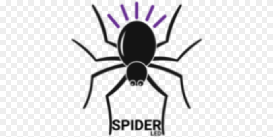 Cropped Black Spider Vuurwerk, Animal, Invertebrate Png Image