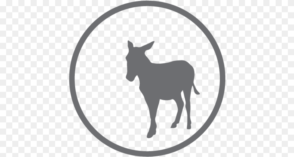 Cropped Burro, Animal, Mammal, Donkey, Ammunition Png Image
