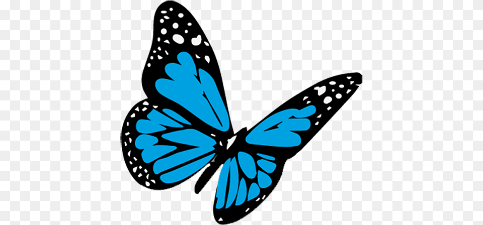 Cropped Butterflybluepng U2013 Something Like Summer Salesforce Spring, Stencil, Animal Free Png