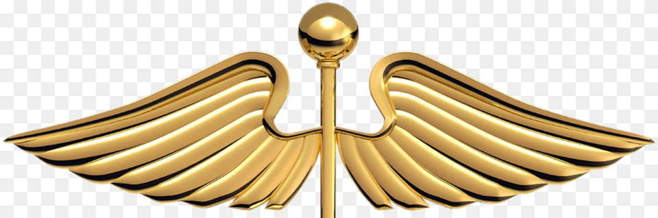 Cropped Caduceus Logo, Cutlery, Accessories, Jewelry, Gold Png Image