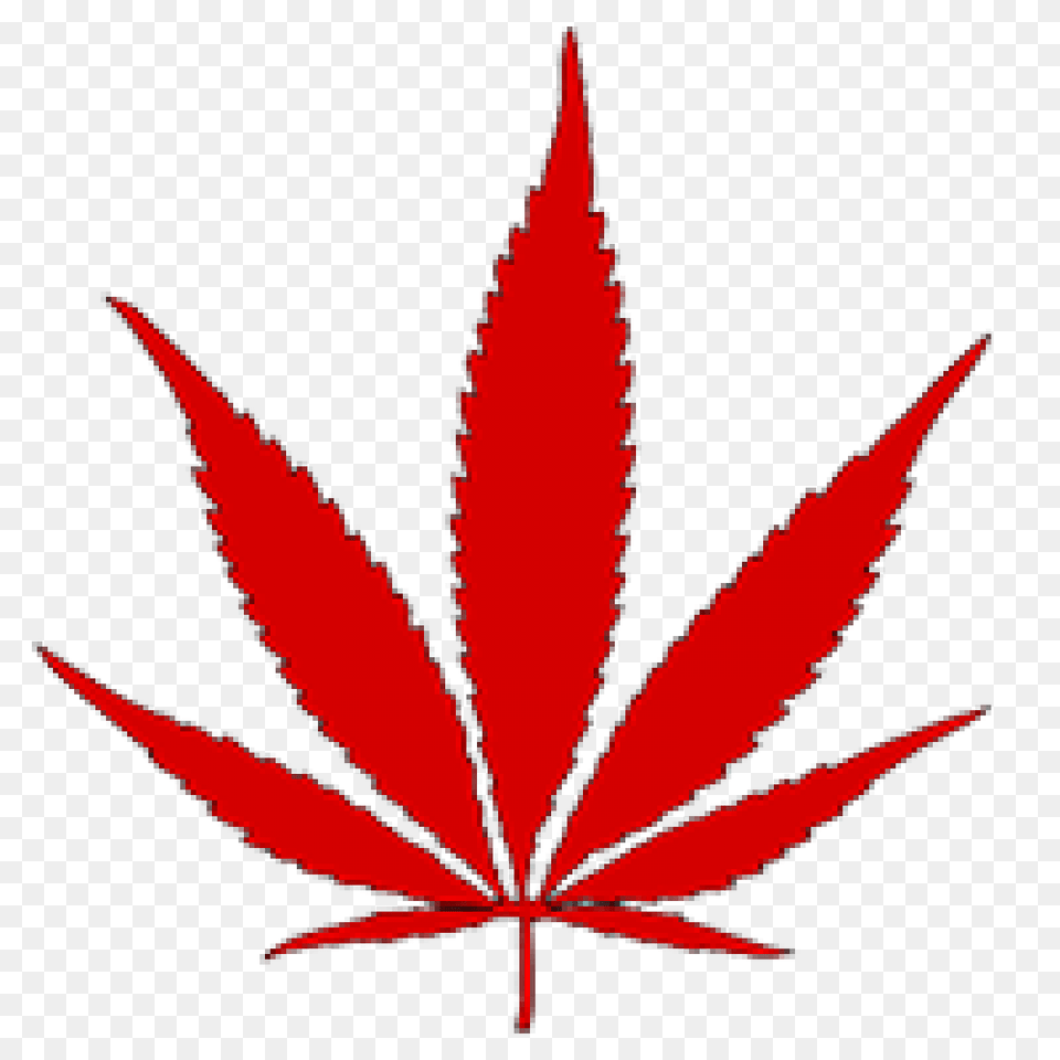 Cropped Canadian Marijuana Flag Mmjdirect Ca, Leaf, Plant, Tree, Dynamite Png