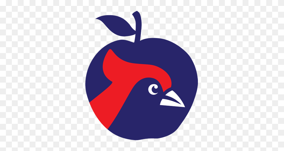Cropped Cardinal School Kits Kentucky Cardinal Kits, Apple, Food, Fruit, Plant Free Transparent Png