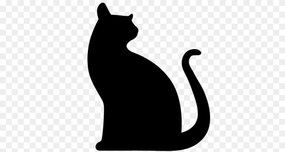 Cropped Cat Black Cat Comms, Animal, Mammal, Pet, Egyptian Cat Png