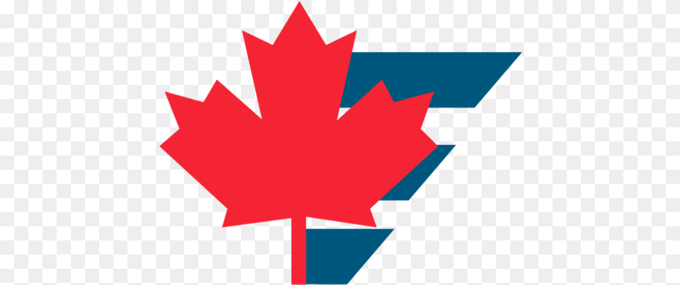 Cropped Citelogocolour2017faviconleafstripespng Canadian Maple Leaf, Plant, Maple Leaf, Tree Free Png Download