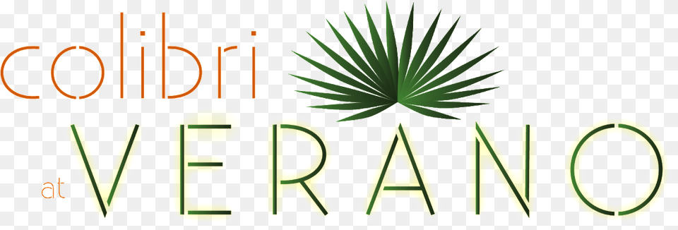 Cropped Colibri Verano Logo Color 1 Logo, Green, Plant Free Png Download