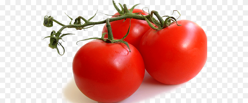 Cropped Cropped Spanish Fresh Food Tomatoes Vine Ripe Tomatoes, Plant, Produce, Tomato, Vegetable Free Transparent Png