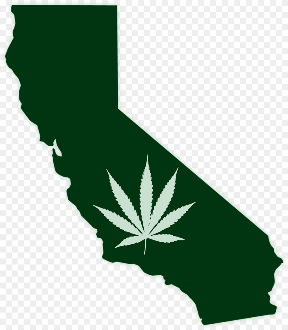 Cropped Dispense Hemp Logo California Red And Blue Map, Plant, Leaf, Adult, Wedding Free Png Download