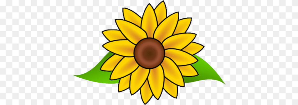 Cropped Easy Drawing Of A Sunflower, Daisy, Flower, Plant, Chandelier Png