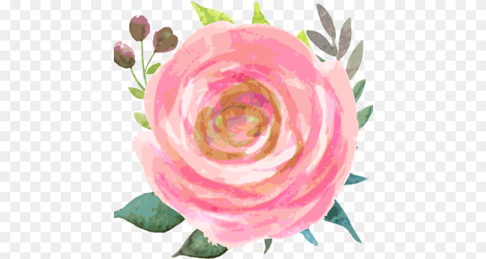 Cropped Faviconflowerpng U2013 Hey It Girl Favicon Flower, Petal, Plant, Rose Free Transparent Png
