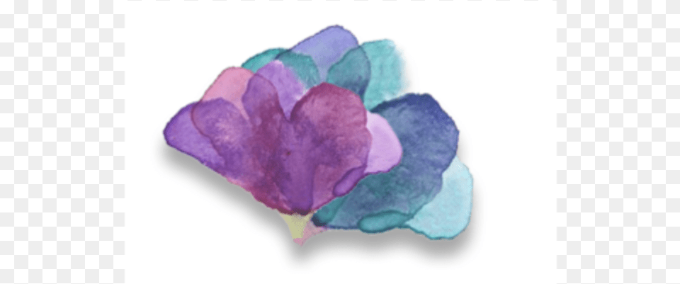 Cropped Flower Bar Artificial Flower, Petal, Plant, Diaper, Accessories Free Png