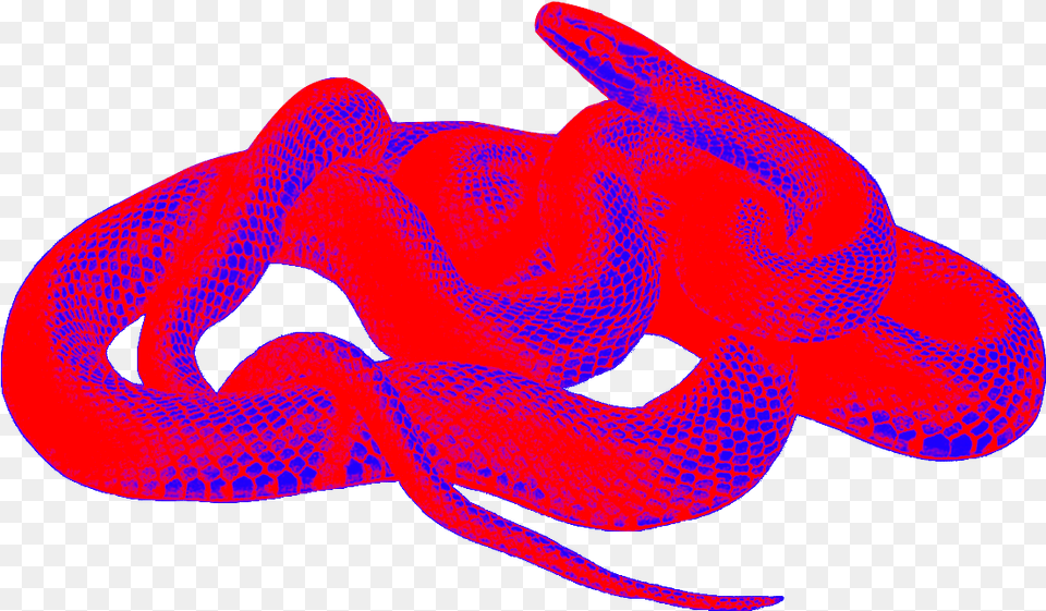 Cropped From This Aesthetic Red Animal, Reptile, Snake Free Transparent Png