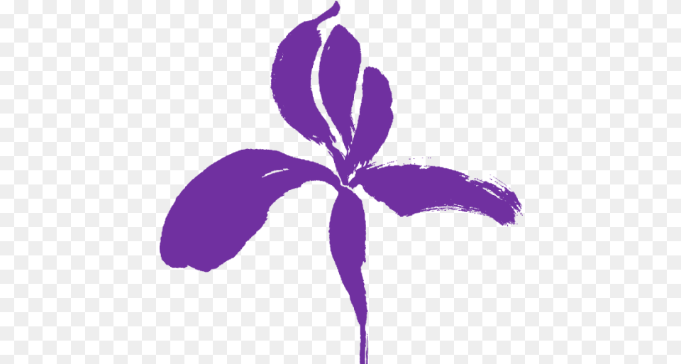 Cropped Girly, Flower, Iris, Petal, Plant Png Image