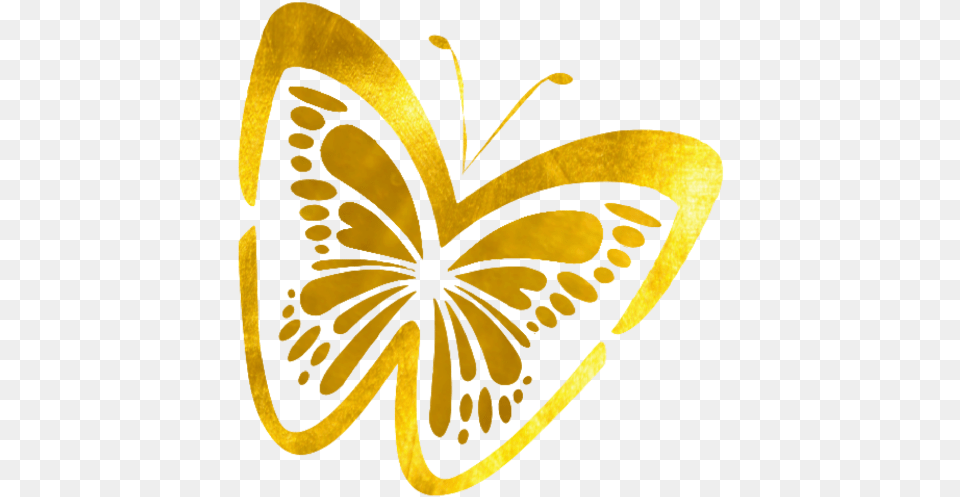 Cropped Girly, Animal, Butterfly, Insect, Invertebrate Png Image