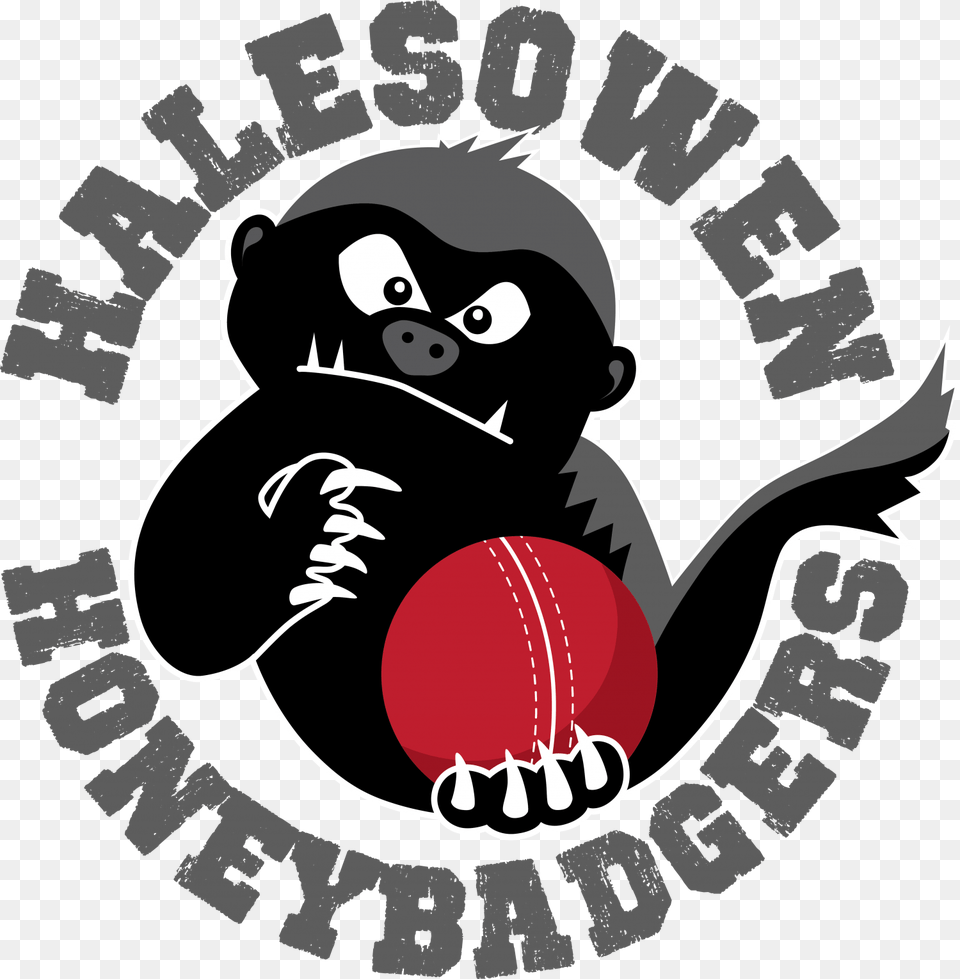 Cropped Halesowen Honey Badgers Grey Illustration, Face, Person, Head, Sport Free Transparent Png