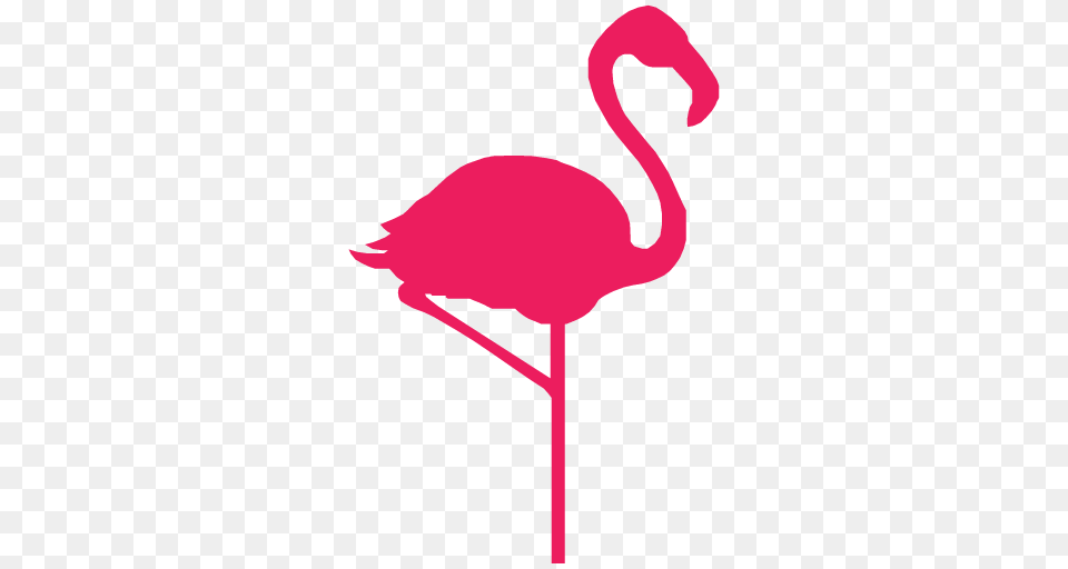 Cropped Hello Flamingo Icon Hello Flamingo, Animal, Bird Free Transparent Png