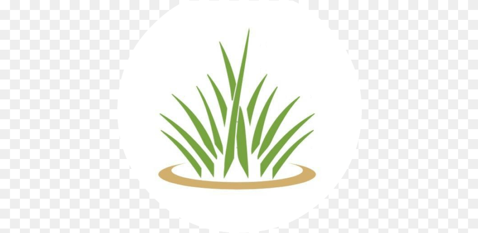 Cropped Hlogopngpng Halo Lawn Care Circle, Grass, Plant, Potted Plant, Herbal Png Image