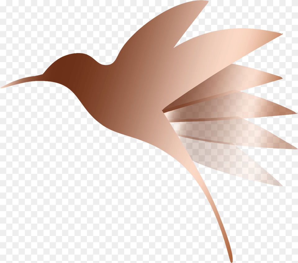 Cropped Hummingbird Only1 Illustration, Leaf, Plant, Animal, Bird Free Png Download