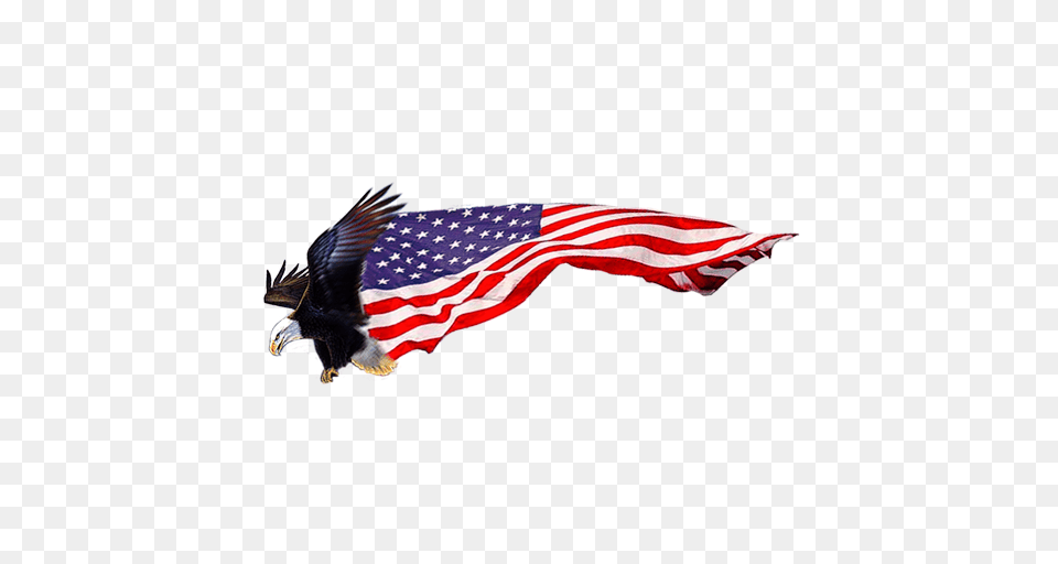 Cropped Icon Fulton Memorial Day Salute, American Flag, Flag, Animal, Bird Free Png