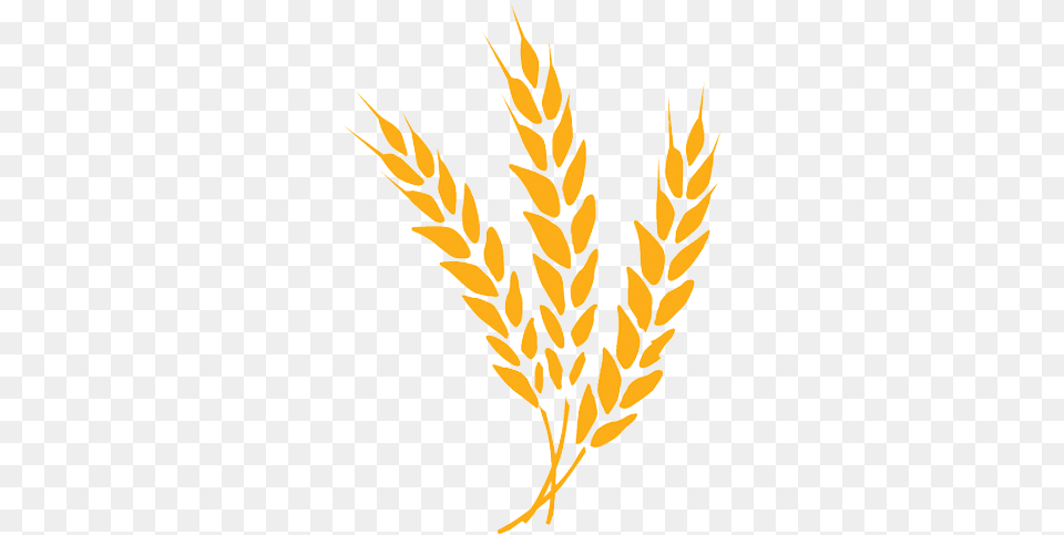 Cropped Jwsiteiconpng U2013 Alamance Orange Prison Ministry Barley Icon, Food, Grain, Plant, Produce Png Image