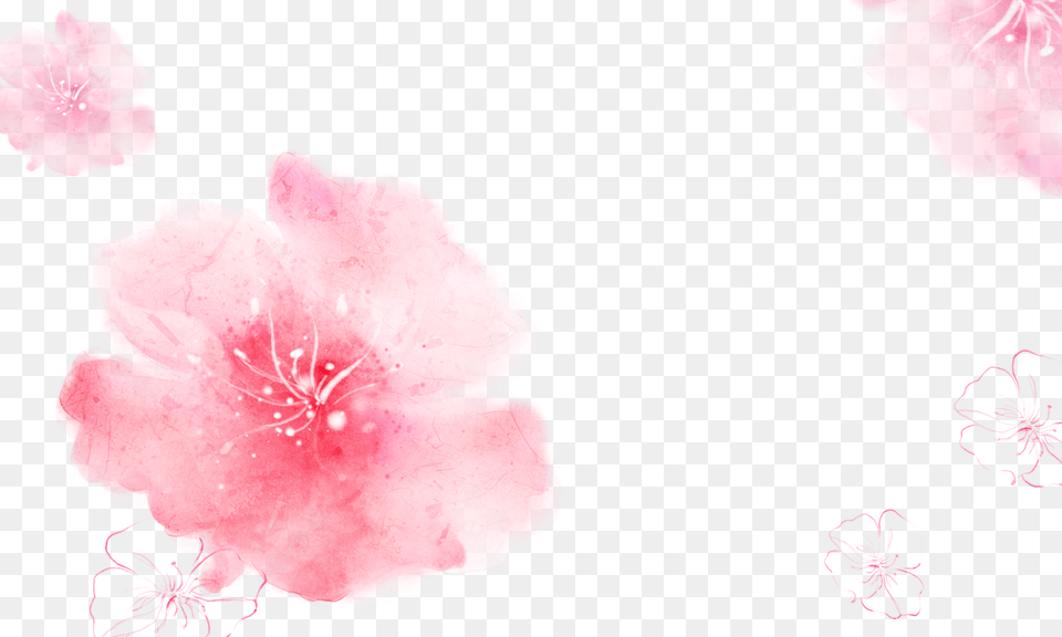 Cropped Kisspng Pink Cherry Blossom Cosmetology Wallpaper Maquillaje Color Rosado, Flower, Petal, Plant, Rose Png