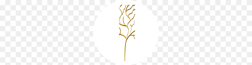 Cropped Ledame Logo Tree, Leaf, Plant, Chandelier, Lamp Free Transparent Png