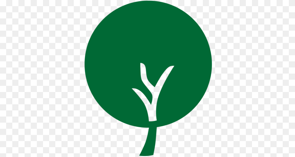 Cropped Logo Arbol, Plant, Leaf, Herbs, Herbal Png