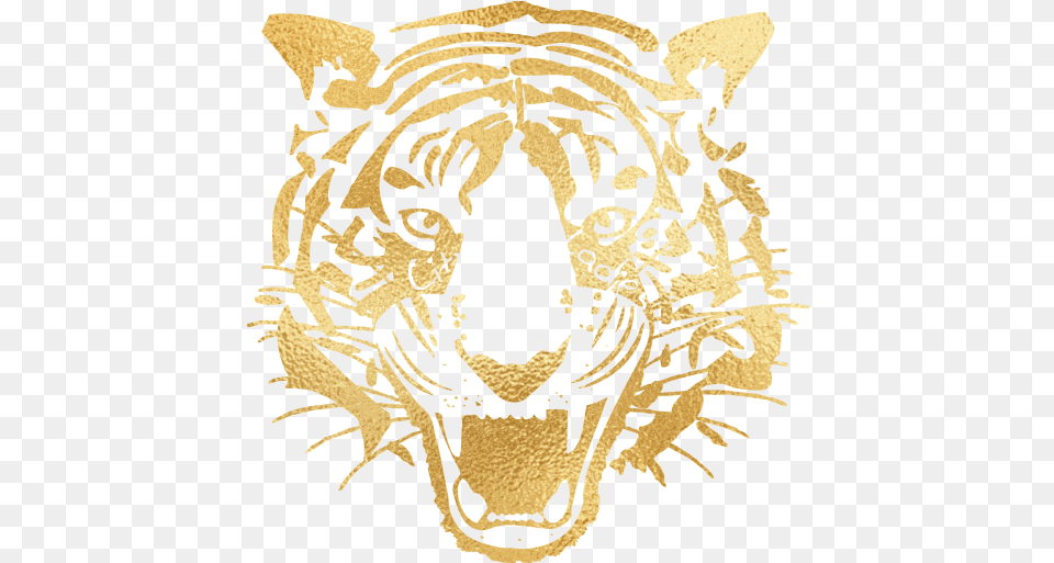 Cropped Logo Hull City, Animal, Mammal, Tiger, Wildlife Free Png Download