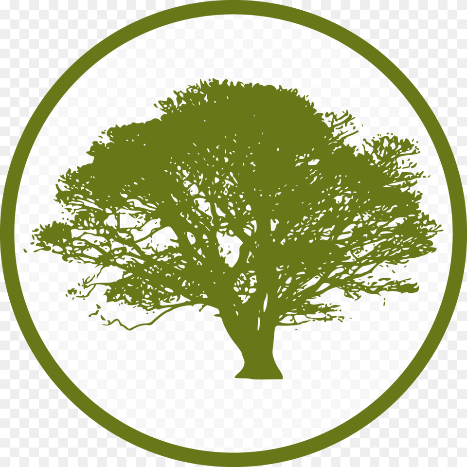 Cropped Martin Forestry Tree Icon Quotes About Silhouette Trees, Oak, Plant, Sycamore Png Image
