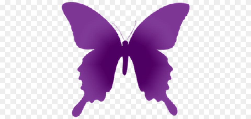 Cropped Mini Mariposa Medium Laos Papilio Bianor Hachijonis, Purple, Silhouette, Accessories, Animal Png Image