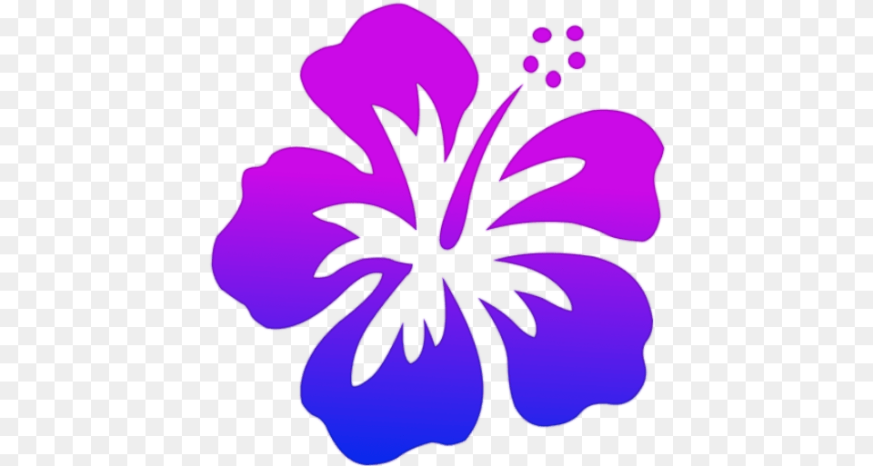 Cropped Nuiflowerlogohighrespng U2013 Nui Media Hawaiian Flower Clipart, Plant, Hibiscus, Geranium, Purple Free Png Download