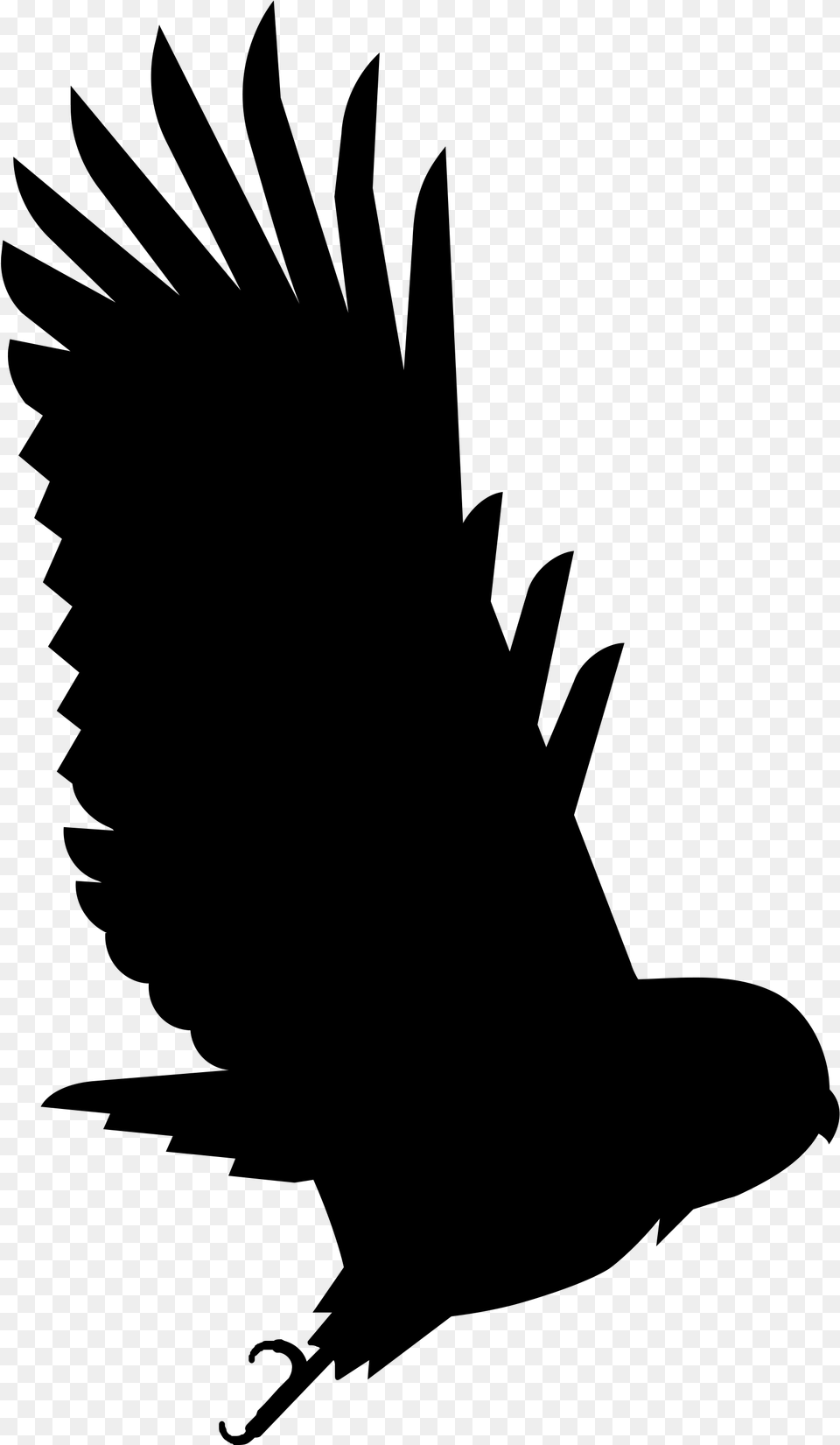 Cropped Onevision Instagram Eagle, Gray Free Png