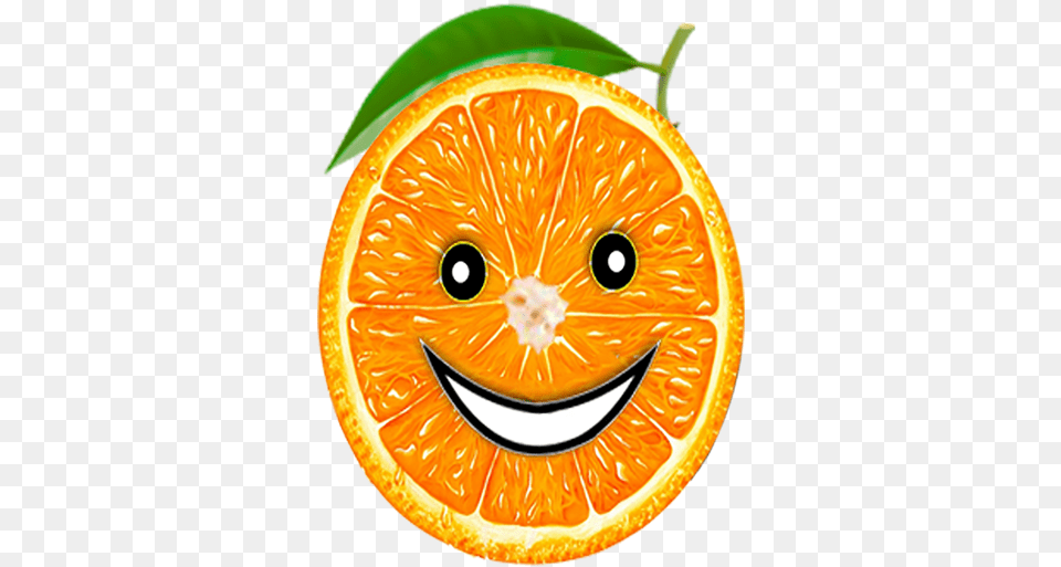 Cropped Orangelogopng U2013 Orange Weave Orange Slice, Citrus Fruit, Food, Fruit, Plant Free Png Download