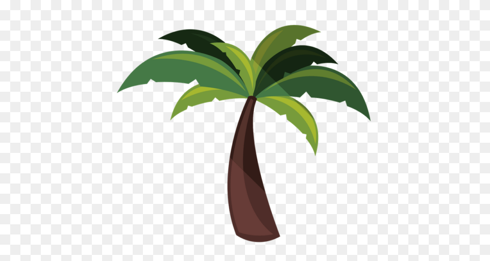 Cropped Palm Tree Kokua Media Solutions, Palm Tree, Plant, Animal, Bird Png