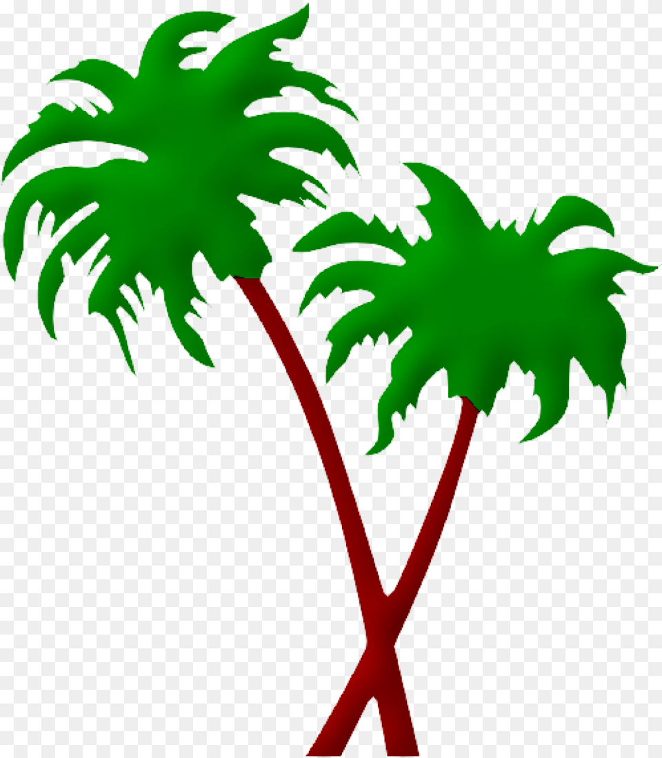 Cropped Palmeras 1 Tropique Des Silences Palm Tree Icon, Palm Tree, Plant, Leaf, Person Free Transparent Png