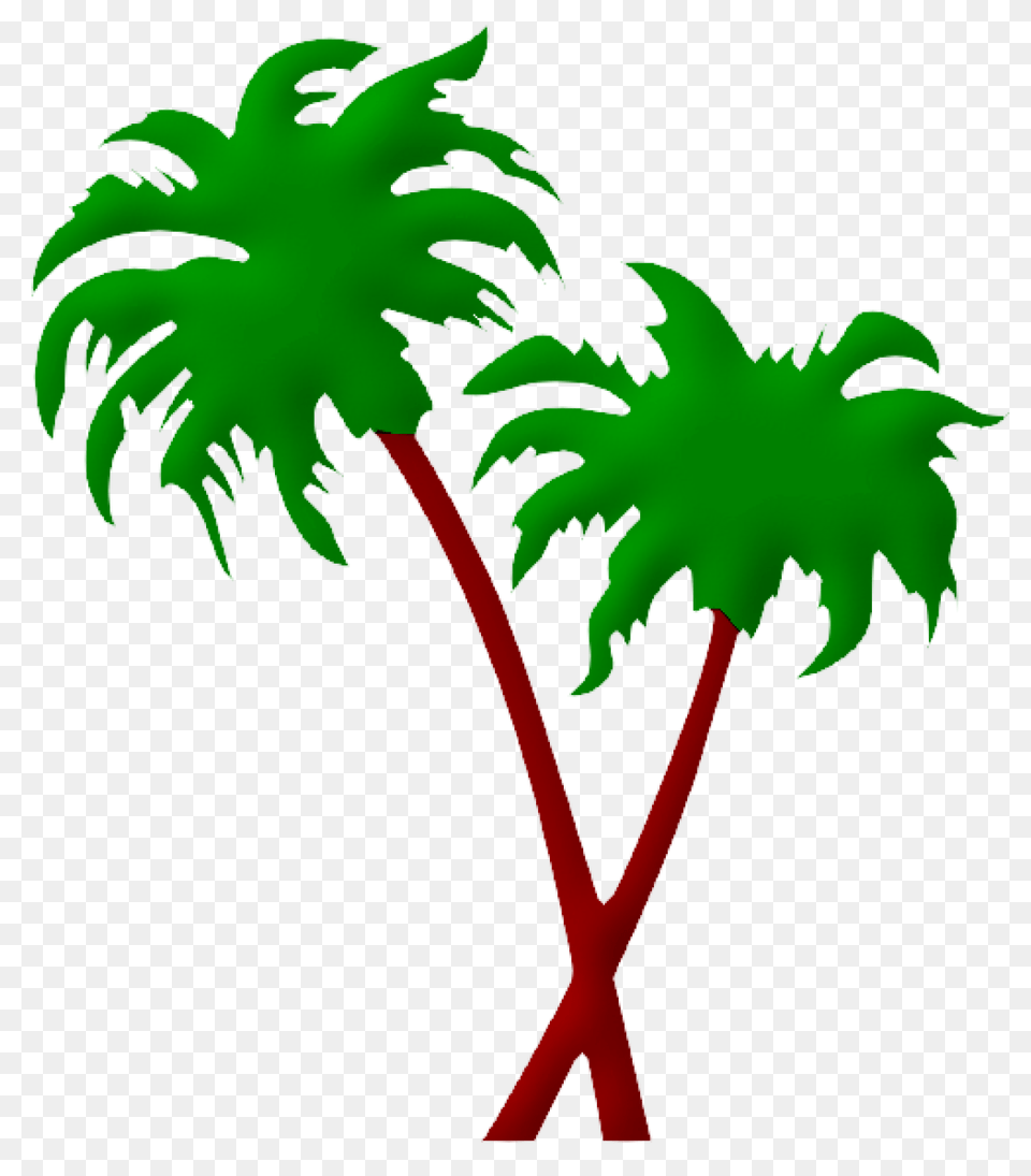 Cropped Palmeras Literatura Tropical, Palm Tree, Plant, Tree, Leaf Free Transparent Png