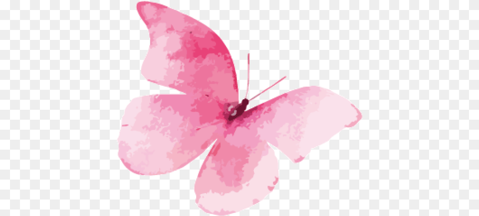 Cropped Pink Watercolor Butterfly, Flower, Petal, Plant, Smoke Pipe Free Png