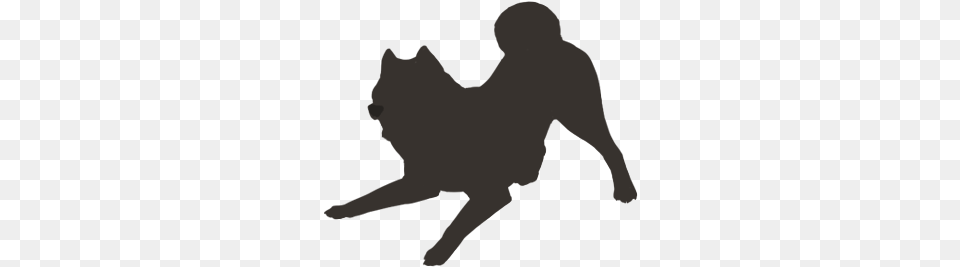 Cropped Pit Bull Shiba Inu Silhouette Dancing, Leisure Activities, Person Free Transparent Png