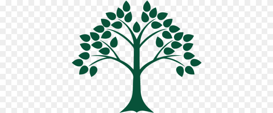 Cropped Splashpng U2013 Edlaw New England Pllc Tree Of The Knowledge Of Good And Evil, Leaf, Pattern, Plant, Art Free Transparent Png