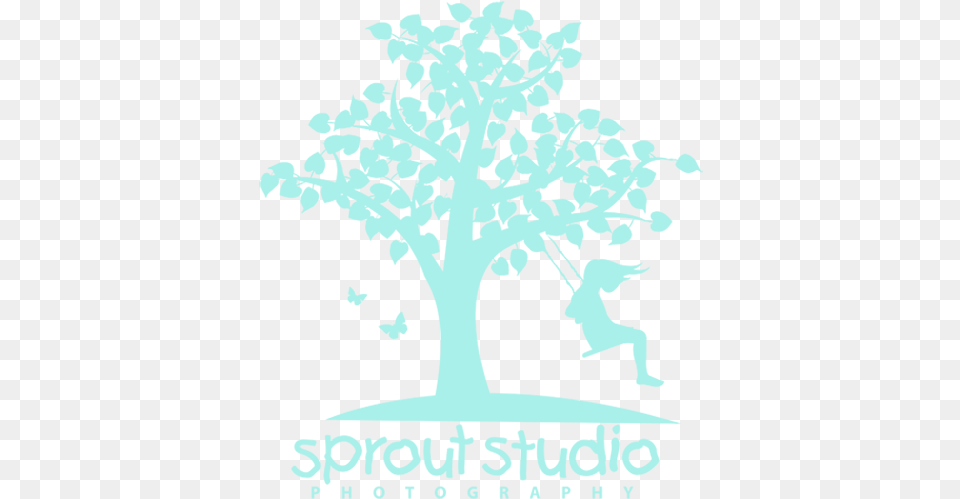 Cropped Sproutstudiophotography512png Tree, Plant, Oak, Advertisement, Poster Free Transparent Png