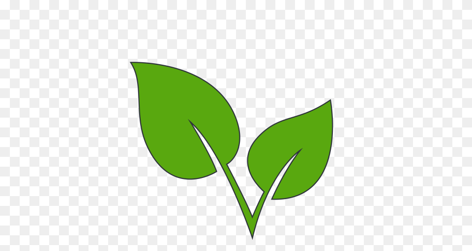 Cropped Ssb Logo Student Sustainability, Plant, Leaf, Herbal, Herbs Free Png Download