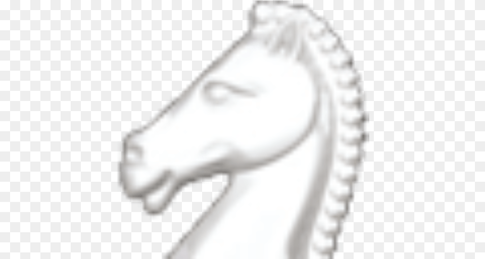 Cropped Stallion, Adult, Female, Person, Woman Png Image