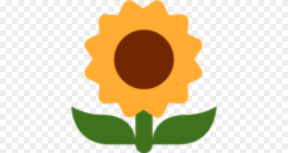 Cropped Sunflower The Hulke Lab, Flower, Plant, Person Png Image