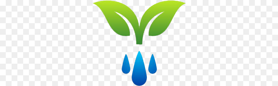 Cropped Water Drop Logo, Leaf, Plant, Green, Jar Free Png