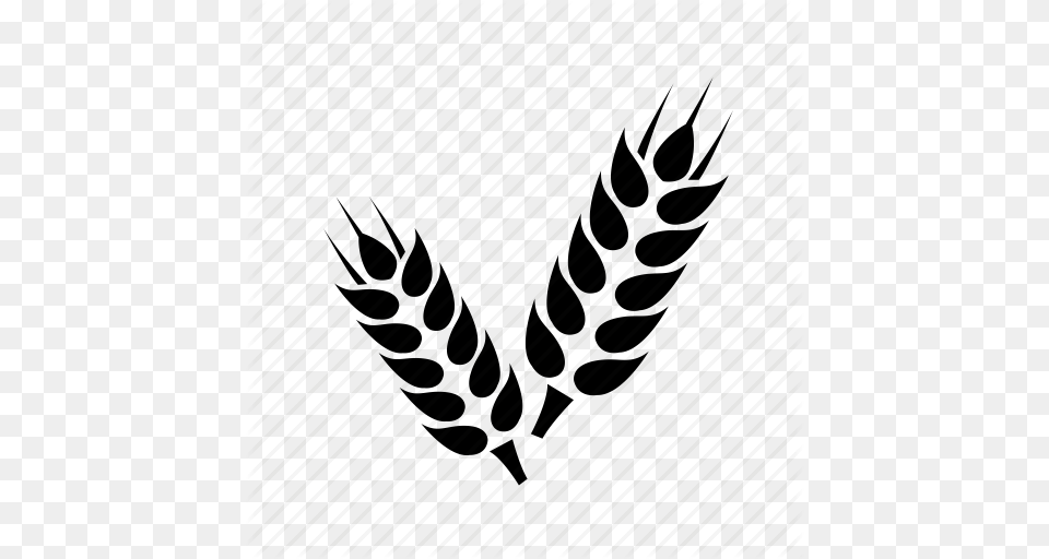 Cropped Wheat, Leaf, Plant, Electronics, Hardware Free Png Download